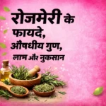 Rosemary herb in hindi